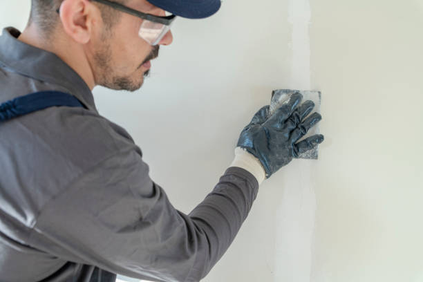  Hopkins, MN Dry wall and painting Pros