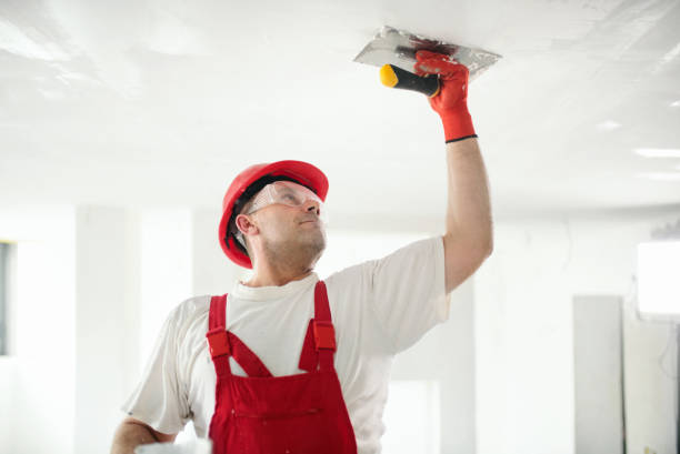 Reliable Hopkins, MN Dry wall and painting Solutions